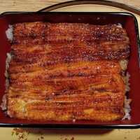 うなぎ 目白ぞろ芽 - 
