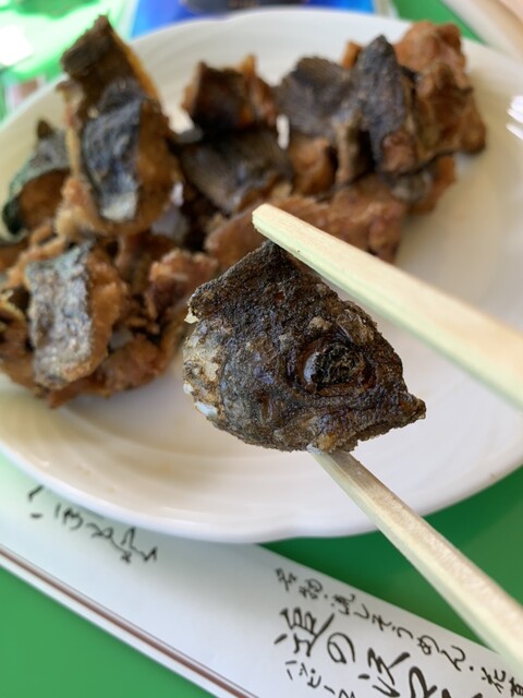 追の沢マス釣場 - 中央弘前（麺類）の写真