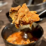 ホルモン コウ - 