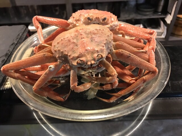 Shokusai Shubou Hiro photo 5