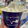 YASUDA YOGURT CoCoLo新潟店