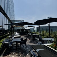PIGNETO - 