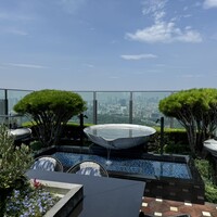 PIGNETO - 