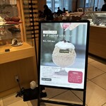 カカオサンパカ - 