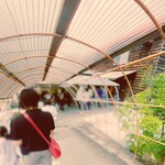 あづま - 僕は、高松市の香川医大近くにあるうどん店「あづま」の行列に並んでいた。 日曜日の12時前だというのに、広い駐車場はほぼ満車状態。