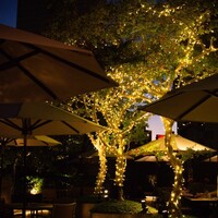 フレンチ キッチン -  フレンチ キッチン -