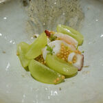 パルコ フィエラ - 