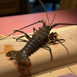 新日本料理おぶね - 