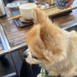 しげの屋 - ワンコはテラス席のみです。