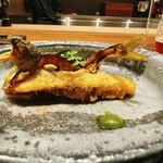 イル アオヤマ - 