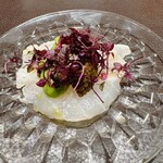 イル アオヤマ - 