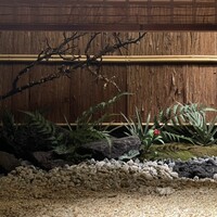 炭焼 うな富士 有楽町店 - 