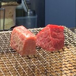 肉の雷橋 - 神々しい肉…