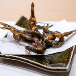 うを徳 - 2024.9 霞ヶ浦産活け泥鰌（どじょう）唐揚げ