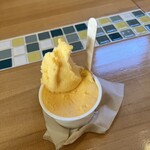 種子島ジェラート HOPE - 