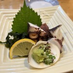 魚将　さかなちゃん - 