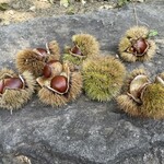 小布施堂 えんとつ - 