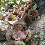 小布施堂 えんとつ - 