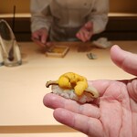 鮨 一幸 - 名物アカウニと鮑