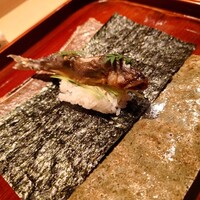 愚直に - 
