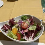 コンチネンタルルーム - casual lunch  ¥2500     彩り野菜のスモールサラダ