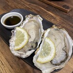 横丁酒場よつば - 