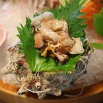 海の湯宿　花しぶき - 御造里  西岬港より海のめぐみ