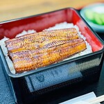 鰻の琉紅 - うな重　並