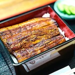 鰻の琉紅 - うな重　特上