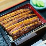鰻の琉紅 - うな重　極上