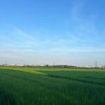 麺場 もっけい - 