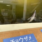 道の駅 びふか - 