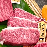 石垣島きたうち牧場 - 