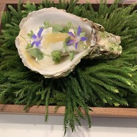 Installation Table ENSO L'asymetrie du calme - 