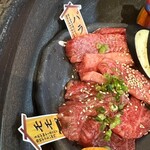 石垣島きたうち牧場 - 