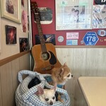 コペンハーゲン - 