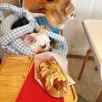 コペンハーゲン - 