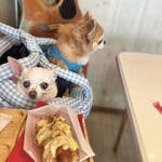 コペンハーゲン - 