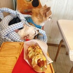 コペンハーゲン - 