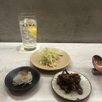 CINA New Modern Chinese - 