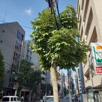 SOT COFFEE ROASTER - 