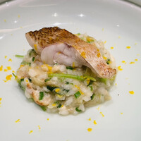 Selvaggio - 
