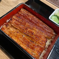 うなぎ 目白ぞろ芽 - 