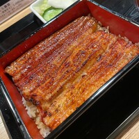 うなぎ 目白ぞろ芽 - 