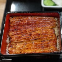 うなぎ 目白ぞろ芽 - 