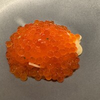 蒼 - 