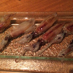 ムッシュ 貞虎 - 