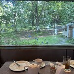 ペーパームーン - 