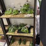 奥山の癒し処 風緑 - 