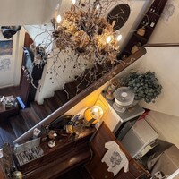 VELVET VIRGO -  VELVET VIRGO -